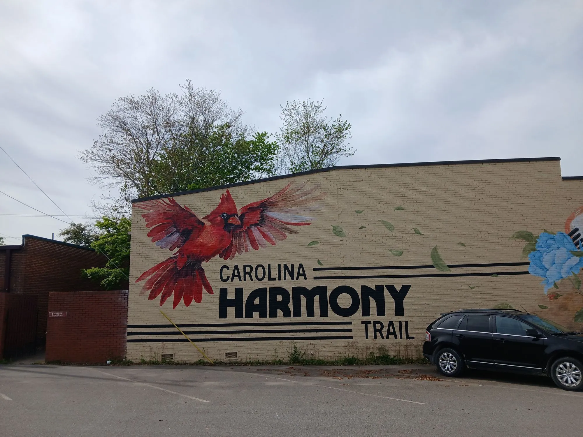 Shelby local commerce