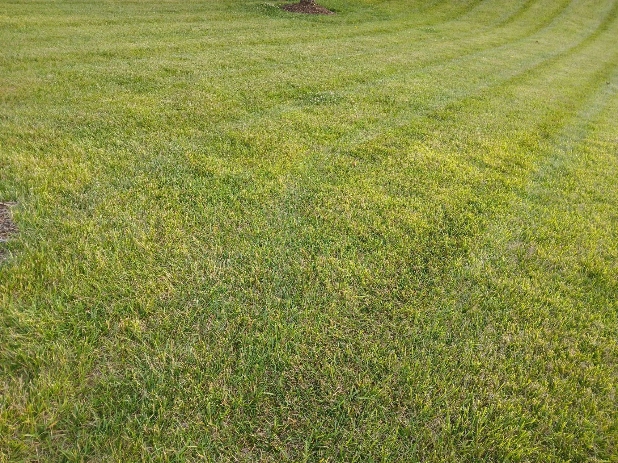 Boiling Springs, NC Projects