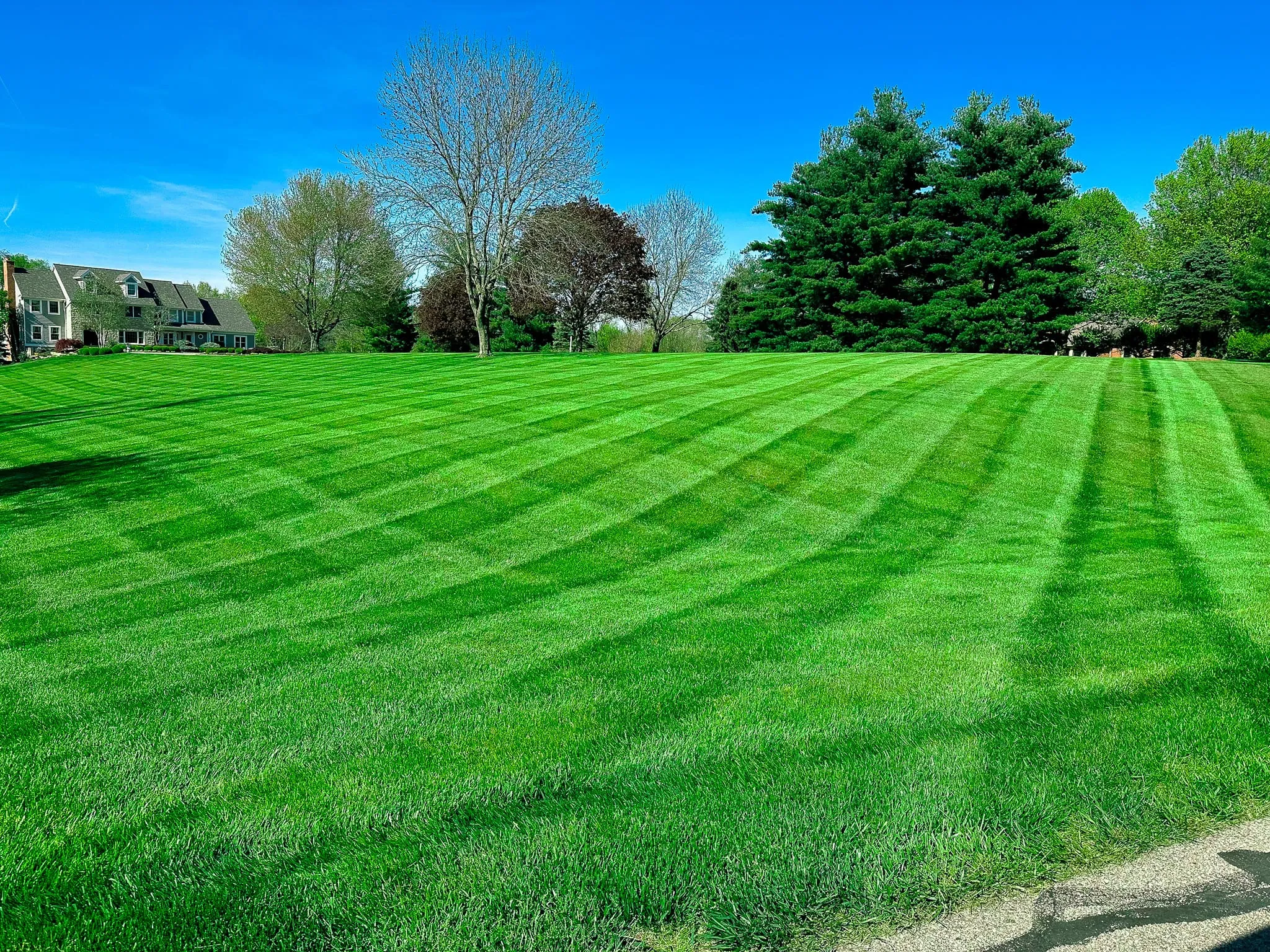 Lush green lawn for landscapers