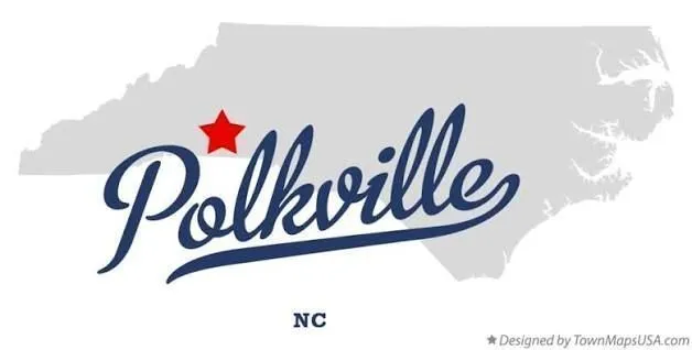 Digital marketing strategy for Polkville businesses