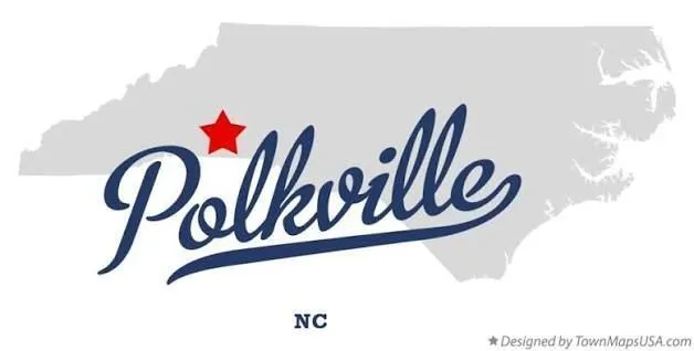 Digital marketing strategy for Polkville businesses